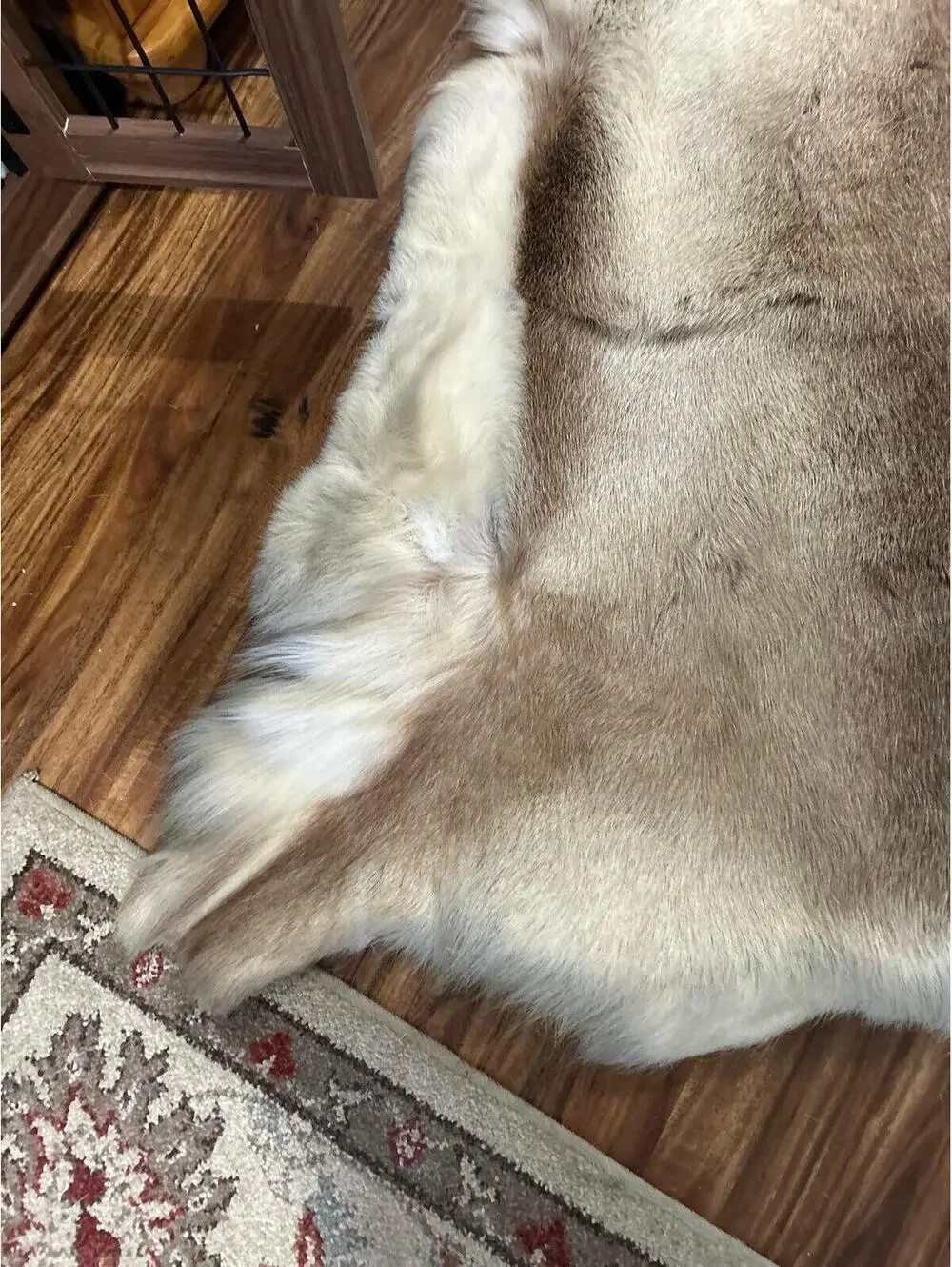 Genuine Deer or Caribou Hide Rug